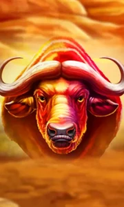 Buffalo Hold and Win Extreme